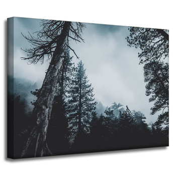 Canvas Print Nature Treetops 40x30 cm