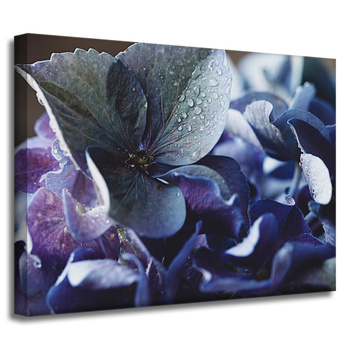 Canvas Print Botany Blue Hydrangea 40x30 cm