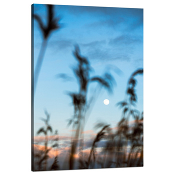 Canvas Print Nature Glade Meadow Sunrise 80x120