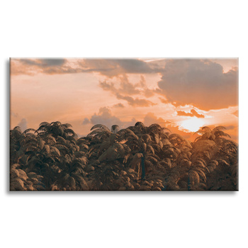 Canvas Print Trees Sunset Clouds Sky 120x80 cm