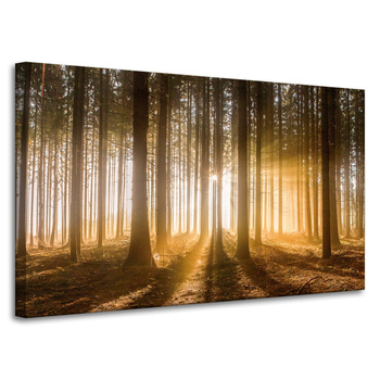 Canvas Print Sun in the Forest Light Tree 100x60 cm