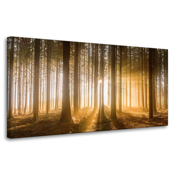Canvas Print Sun in the Forest Light Tree 80x40 cm