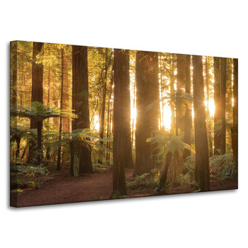 Canvas Print Sun Rays Forest Trees 100x60 cm