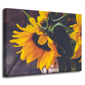 Canvas Print Botany Sunflowers 40x30 cm