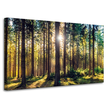 Canvas Print Forest Sun Trees Spring Morning 100x60 cm