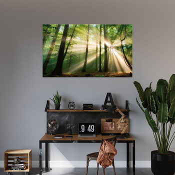 Canvas Print Sun in the Forest Trees Nature 120x70 cm