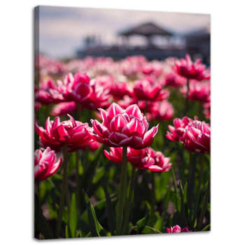 Canvas Print Botanical Tulips 30x40 cm