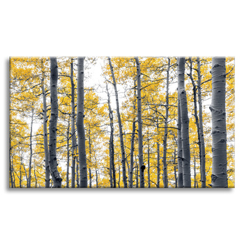 Canvas Print Birches Yellow Leaves Nature Spring 120x80 cm