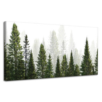 Canvas Print Rain Forest Nature Trees 120x60 cm
