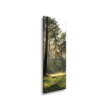Canvas Print Forest Trees Sun Nature 40x120 cm