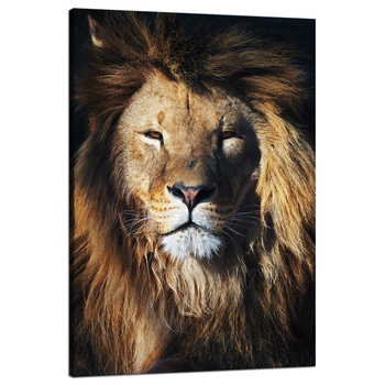 Canvas Print Lion Mane Face Wildness 80x120 cm