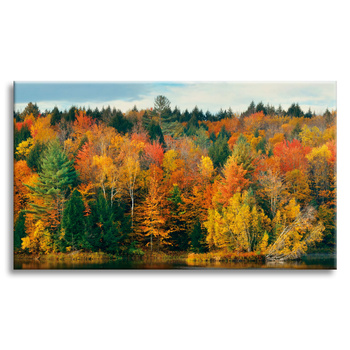 Canvas Print Colorful Leaves Trees Autumn Nature 120x80 cm