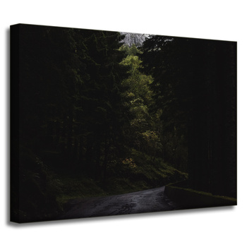 Canvas Print Nature Mountain Road 40x30 cm