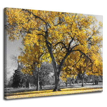 Canvas Print Black Trees Yellow Leaves 100x80 cm