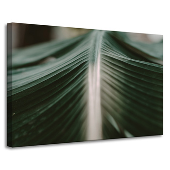 Canvas Print Nature Palm Leaf 90x60