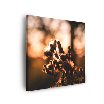 Canvas Print Botany Morning 40x40 cm