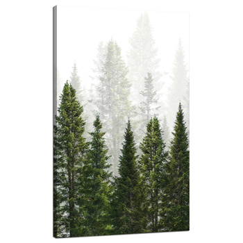 Canvas Print Rain Forest Nature Trees 70x120 cm