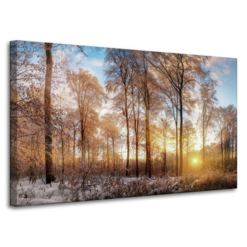 Canvas Print Trees Winter Rising Sun 100x60 cm