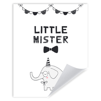 Little mister Birthday Poster 24X30 cm