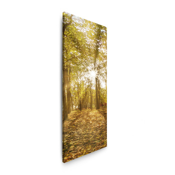 Canvas Print Sun Between Trees in the Forest 40x120 cm