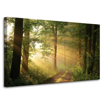 Canvas Print Sunlight Forest Path Nature 100x60 cm
