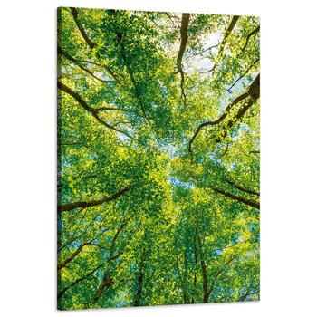 Canvas Print Trees Leaves Nature Forest Spring 60x90 cm