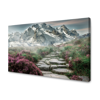 Canvas Print Nature Heathland in the Mountains 40x30 cm