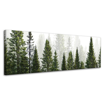 Canvas Print Rain Forest Nature Trees 120x40 cm