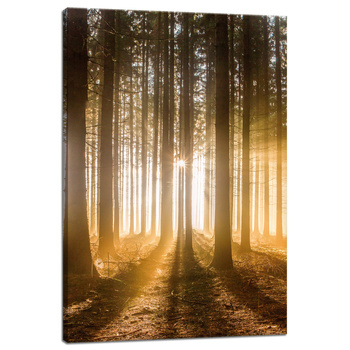 Canvas Print Sun in the Forest Light Tree 40x60 cm