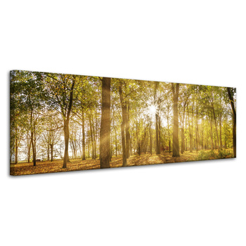 Canvas Print Sun Between Trees in the Forest 120x40 cm