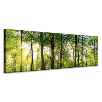 Canvas Print Sun Forest Trees Rays of Light 120x40 cm