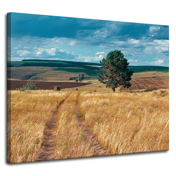 Canvas Print Grain Field Nature Clouds Landscape 100x80 cm