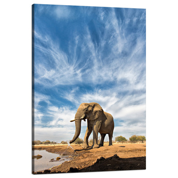 Canvas Print Big Elephant on the Savannah Sand 80x120 cm