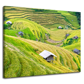 Canvas Print Nature Agricultural Terraces 100x80 cm
