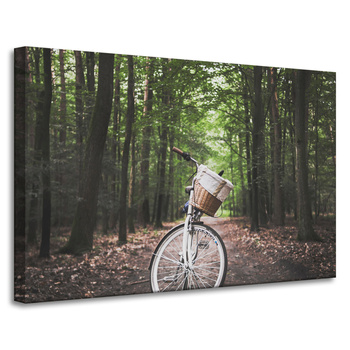 Canvas Print Youth Bike in the Forest 90x60