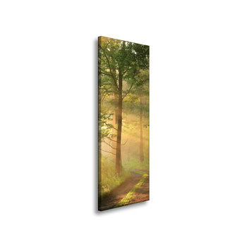 Canvas Print Sunlight Forest Path Nature 40x120 cm