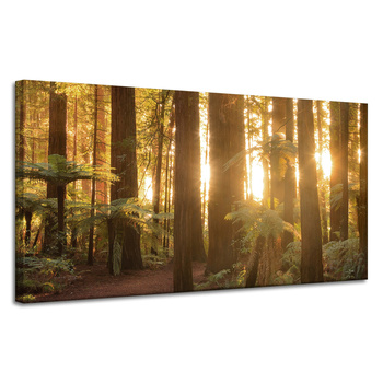 Canvas Print Sun Rays Forest Trees 120x60 cm
