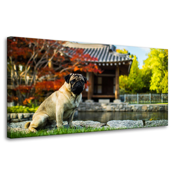 Canvas Print Animals Dog_2 80x40 cm