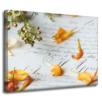 Canvas Print Botany Flower Petals 40x30 cm