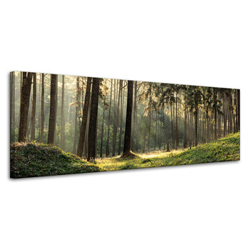 Canvas Print Forest Trees Sun Nature 120x40 cm