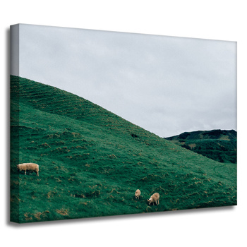 Canvas Print Nature Pasture 40x30 cm
