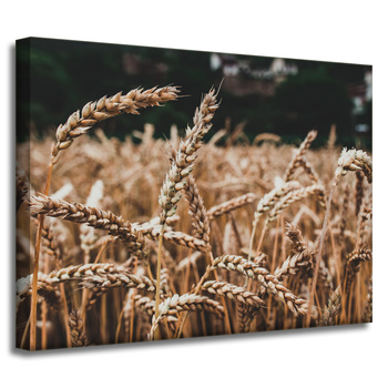 Canvas Print Nature Wheat Field 40x30 cm