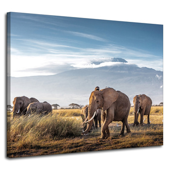 Canvas Print Walking Elephants Mountain Savannah Natural Environment 100x80 cm
