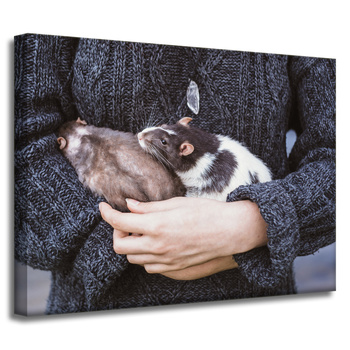Canvas Print Animals Animals 40x30 cm
