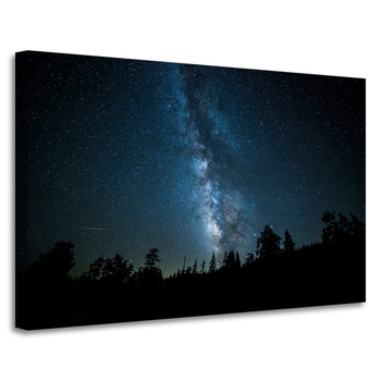 Canvas Print Space Night Forest Nebula 90x60