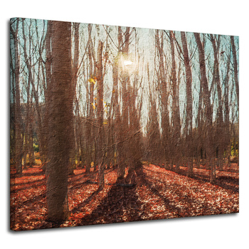 Canvas Print Autumn Forest Leaves Colorful Nature 100x80 cm