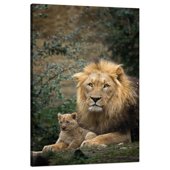 Canvas Print Lion and Lion Cub Nature Trees Nature 80x120 cm