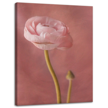Canvas Print Botanical Pink Peony 30x40 cm
