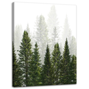Canvas Print Rain Forest Nature Trees 30x40 cm