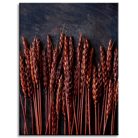 Canvas Print Botany Dark Wheat Ears 30x40 cm